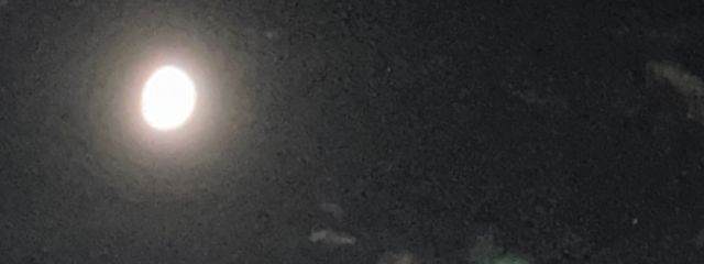 留愛さんの壁紙画像