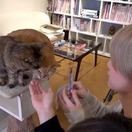 にこさんのアイコン画像