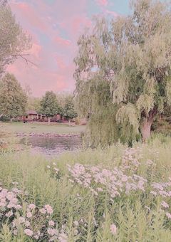 もう　童話になったら　いいのにね　。