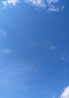 お兄ちゃんたちから溺愛されてます！