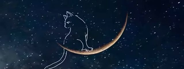 星華さんの壁紙画像