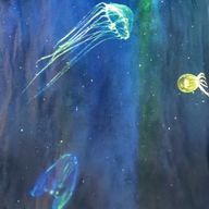 叶さんのアイコン画像