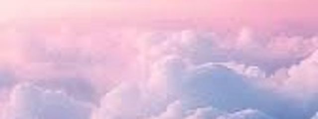 3度の飯より花より顎。🦕さんの壁紙画像