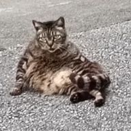 走馬燈さんのアイコン画像