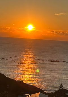 夏コラとの日常