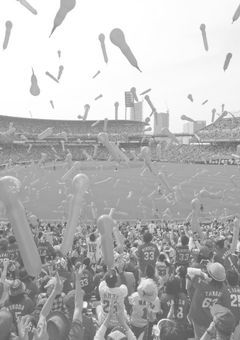 鯉の W マティ .