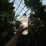 ただのら民だおˆらˆさんのアイコン画像