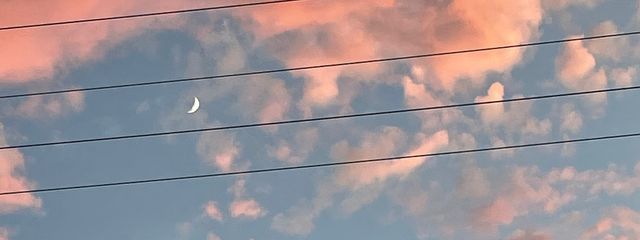 ちびどんぐりさんの壁紙画像