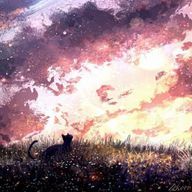 ぴよきちさんのアイコン画像