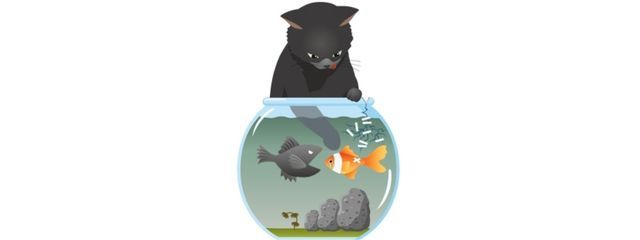 みい アハハハハハハハハハハハハハハハハハハハハハハハハハハさんの壁紙画像
