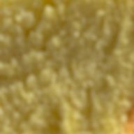 しふぉんさんのアイコン画像