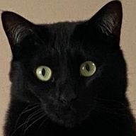 来夢 滾@ふっかーつ！さんのアイコン画像