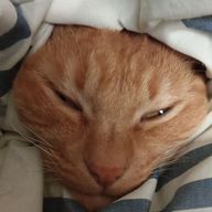 来夢 滾@ふっかーつ！さんのアイコン画像