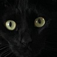 来夢 滾さんのアイコン画像