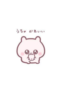 🌹 ♡