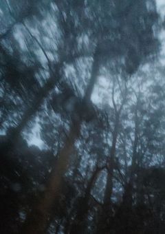 愉快な魔導師🦋