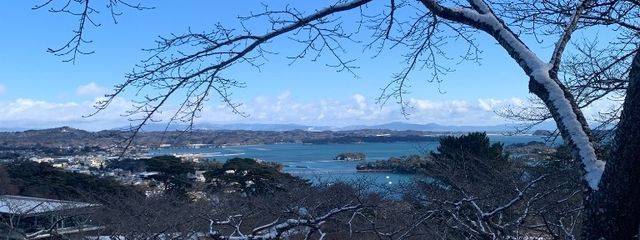 あわ🫧　(復活！さんの壁紙画像