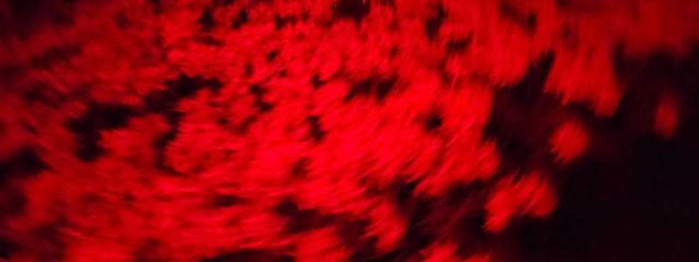 BGさんの壁紙画像