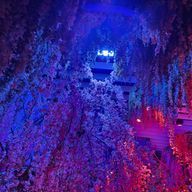 BGさんのアイコン画像