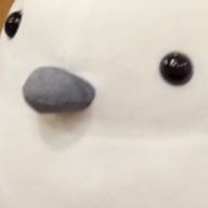 ぬ あ　。さんのアイコン画像