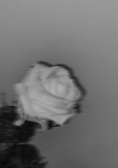 𝒗 𝒐 𝒍 𝒍 𝒆 𝒚 𝒃 𝒂 𝒍 𝒍