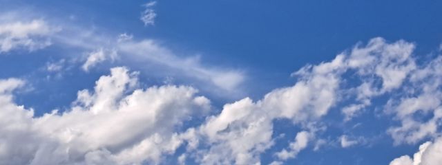 もかさんの壁紙画像
