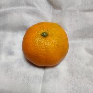 恋愛話好きのミチャマルさんのアイコン画像