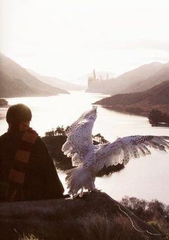 𝘠𝘰𝘶 𝘢𝘯𝘥 𝘔𝘦 .