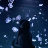 .⋆𝜗𝜚さんのアイコン画像