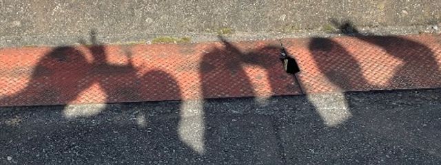 ひよこさんの壁紙画像