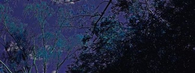 古川 @新作準備期間さんの壁紙画像