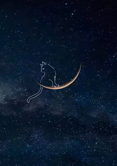 ❥ と も だ ち 募 集 .