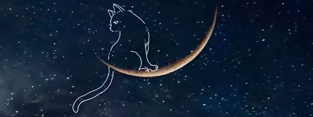 𝙼 𝚒 𝚕 𝚔 𝚢 × 𝟸 🍒 フォロバ💯さんの壁紙画像