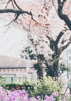 あなたの世界でわたし見つけて