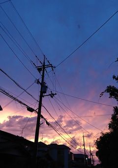 今日、好きになりました。