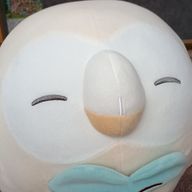 ここあさんのアイコン画像