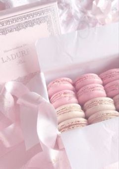 ใใฏใฃใดใฐใผใใงใผใ๏ผใโก