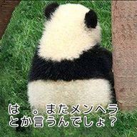 めぱさんのアイコン画像
