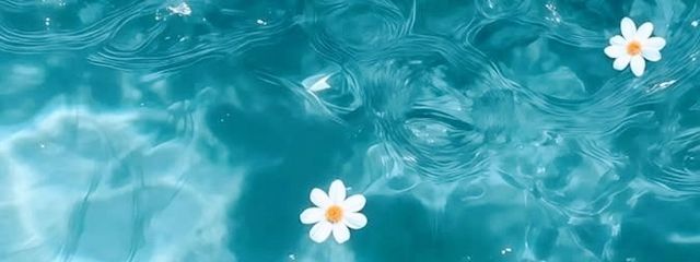 こたまろさんの壁紙画像