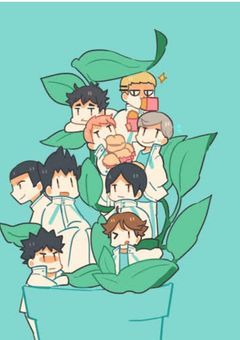 青城マネは雑溺愛(合宿メイン)