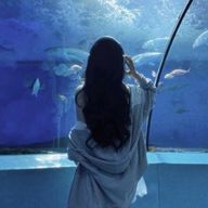 c h a m o f f さんのアイコン画像