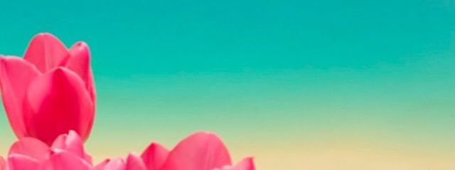 花粉を許すなｯｯｯｯさんの壁紙画像