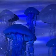 花粉を許すなｯｯｯｯさんのアイコン画像