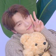 ディノ推しさんのアイコン画像