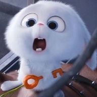 Yu-riさんのアイコン画像