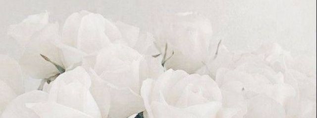 ななさんの壁紙画像