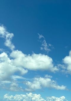 ぶりっ子中学生　転生したので、吹っ切れて本性出したら愛された件