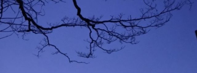 るるさんの壁紙画像