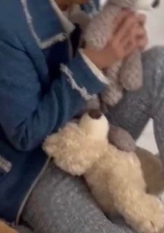 無自覚姫に恋が大渋滞!?