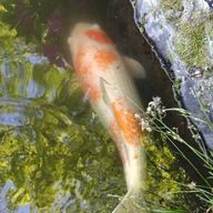 yuiさんのアイコン画像